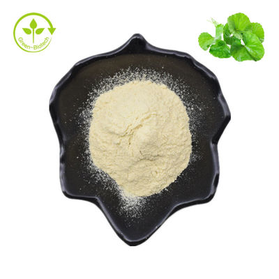 Hydrocotyle asiatica/Centella asiatica/polvo de Gotu Kola Extract el 70% Asiaticoside