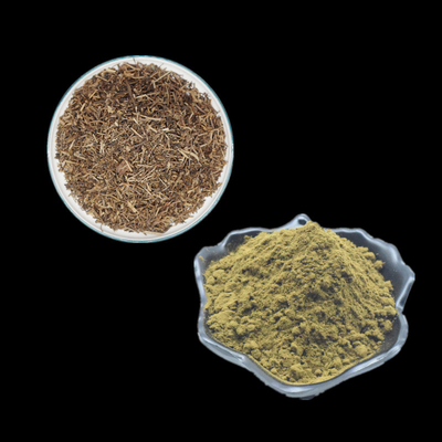 Uso puro del polvo del extracto el 2% el 10% Turkesterone de Turkestanica del Ajuga para el levantamiento de pesas