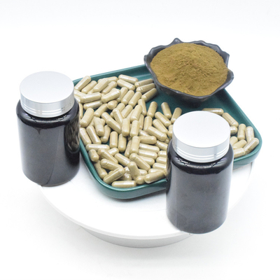 El extracto de Turkestanica del Ajuga del OEM pulveriza cápsulas del 2% el 10% 500mg Turkesterone