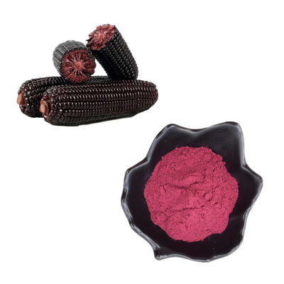 polvo púrpura de las antocianinas del extracto del maíz de los extractos naturales de la planta del 1% - del 25%