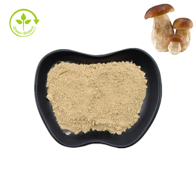 Polvo puro natural el 99% del boleto de Penny Bun Porcini Mushroom Extract