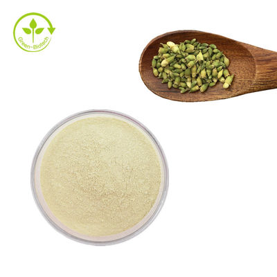 Polvo de la rutina del extracto de Japonica del Sophora de la rutina el 95% del extracto del japonica del sophora de la fuente de la fábrica