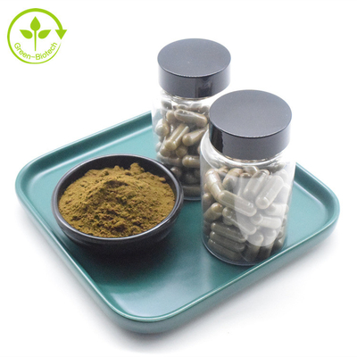 Cápsulas puras del Ajuga de la etiqueta privada de Turkestanica del polvo natural 500mg Turkesterone del extracto