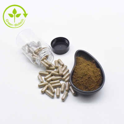 El extracto de Turkestanica del Ajuga del extracto de la planta pulveriza cápsulas del 10% 500mg/60caps/Bottle Turkesterone