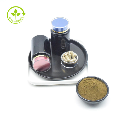 El Ajuga Turkestanica del grado del ISO extrae precio del polvo del 20% Turkesterone