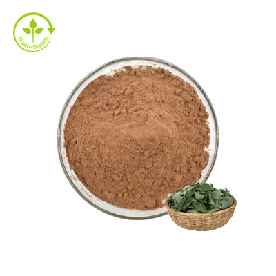 Extracto a granel del Epimedium de la mala hierba córnea natural pura de la cabra polvo del 10% - del 98% Icariin