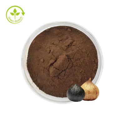 Polvo negro del ajo de la calidad del ajo del 20:1 negro natural estupendo del extracto