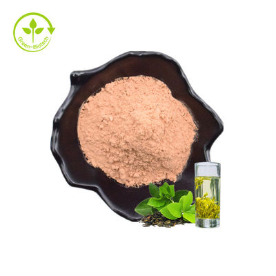 Las hojas de té verdes naturales el 60% de alta calidad sanas de la hoja al por mayor de la planta de la fábrica extraen el polvo inmediato