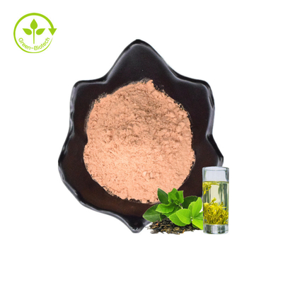 Extracto orgánico soluble en agua del té verde de la comida sana del polvo 20%Polyphenols del té verde del instante de las muestras libres del ISO