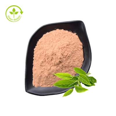 Polifenol del té, EGCG, polvo del extracto del té verde