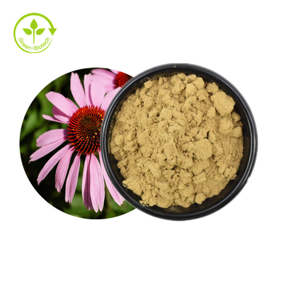 Extracto vendedor caliente de la equinácea de las hierbas del extracto de Echinacea Purpurea