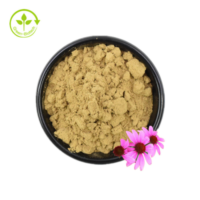 Certificado ISO 100% Extracto de equinácea natural Echinacea Purpurea Extracto 10% Polifenol