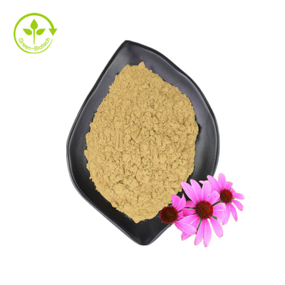 Suministro al por mayor 3% Extracto de flor de Echinacea Purpurea de ácido achicorico Extracto de Echinacea Purpurea