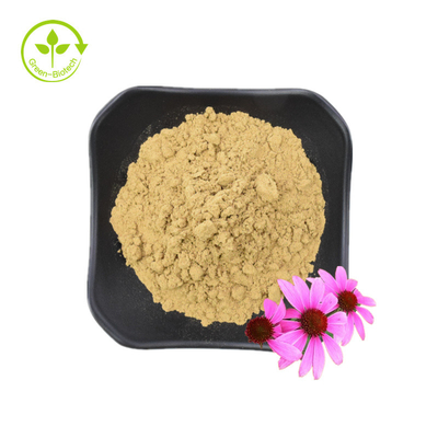 Extracto de raíz de Echinacea Purpurea de alta calidad 10% polifenoles Extracto de Echinacea Purpurea Extracto de Echinacea
