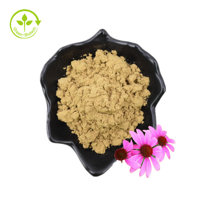 Extracto puro de Echinacea Purpurea del polvo del extracto de la flor de Echinacea Purpurea del ácido achicorico al 4%