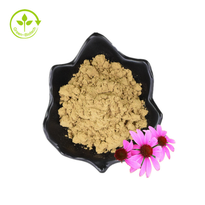 Extracto seco polifenol orgánico de las semillas de flor del polvo Echinacea Purpurea