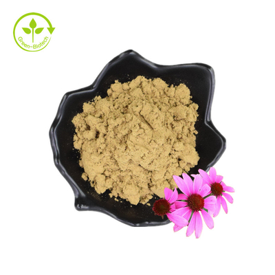 Polifenoles a granel 4% ácido cicórico Echinacea en polvo Extracto de Echinacea Purpurea