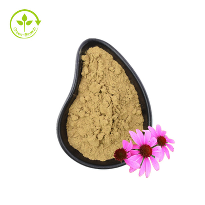 Extracto orgánico de echinacea purpurea Extracto de raíz de echinacea
