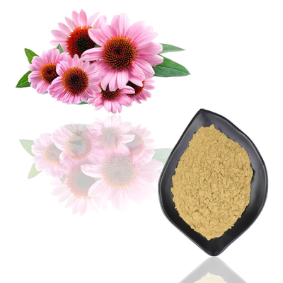 Polifenol orgánico natural el 2% - el 4% Cichoric el 2% - el 5% ácidos del extracto de Purpurea del Echinacea