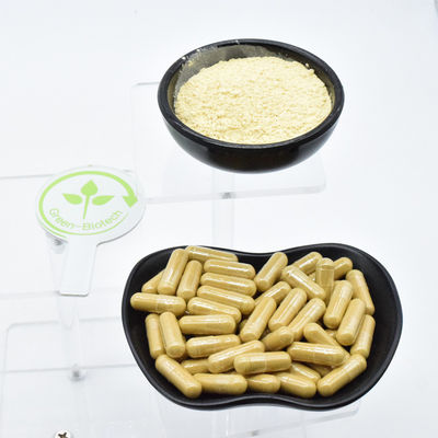 Plantas silvestres naturales Extracto de raíz de ginseng blanco seco Estándar de calidad de la UE Raíz de ginseng