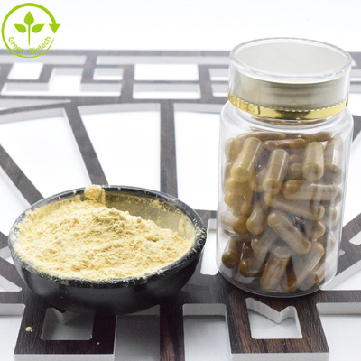 Venta en caliente Extratos de raíz de ginseng frescos de China