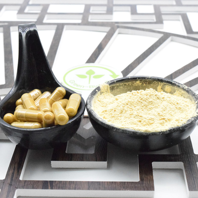 Muestra gratuita de Panax Ginseng Ginsenosides 30% de Panax Ginseng Rojo en polvo