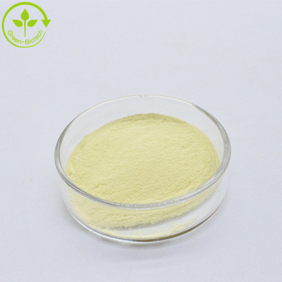Polvo fino amarillo Extracto de raíz de kava natural 30% Kavalactonas Extracto de kava en polvo