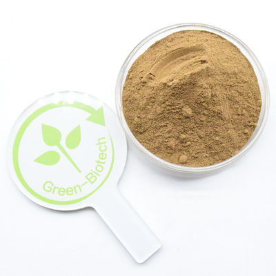 Dendrobina en polvo de extracto de dendrobium natural puro y de alta calidad