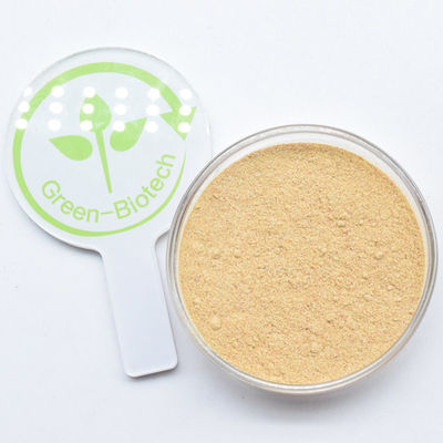 Servicio de OEM Extracto de Cyanotis Arachnoidea Capsulas de ecdisterona Ecdisterona