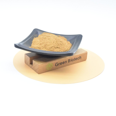 Extractos naturales de plantas Cuidado de la salud Venta a granel Extracto de raíz de maca natural en polvo