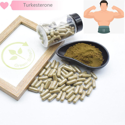 extractos naturales de la planta de 500mg Turkestanica