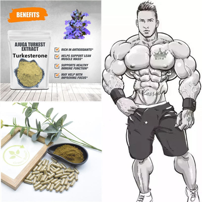 extractos naturales de la planta de 500mg Turkestanica