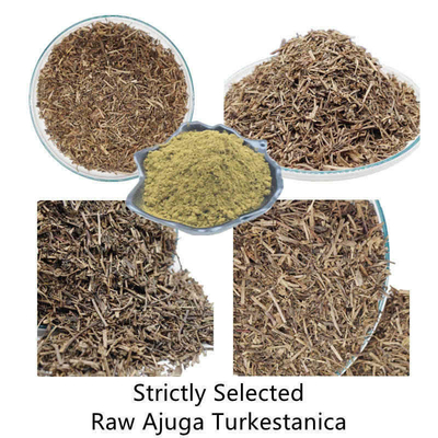 extractos naturales de la planta de 500mg Turkestanica