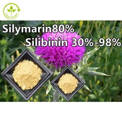 Polvo de extracto de planta de cardo mariano 80% grado alimenticio de silimarina