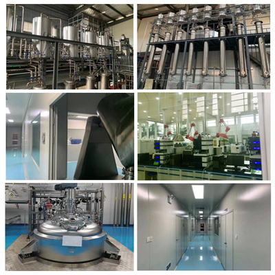 Polvo de extracto de planta de cardo mariano 80% grado alimenticio de silimarina