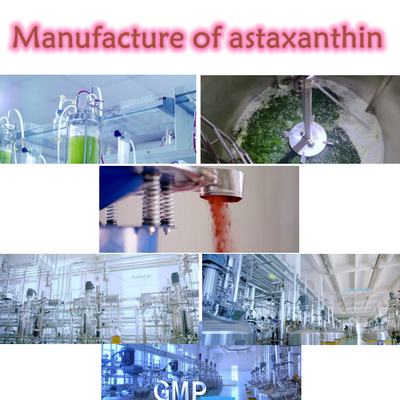 CAS 7542-45-2 1% - Polvo de astaxantina del 10% para un cuidado saludable