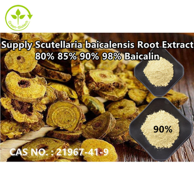 No. verde de Baicalin el 80% el 85% el 90% el 98% CAS del extracto del Skullcap de Baical de la pureza elevada de la fuente de Biotech: 21967-41-9