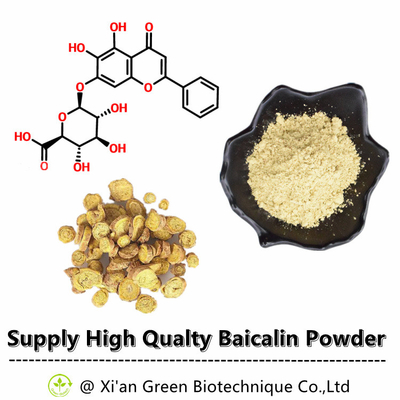 No. verde de Baicalin el 80% el 85% el 90% el 98% CAS del extracto del Skullcap de Baical de la pureza elevada de la fuente de Biotech: 21967-41-9
