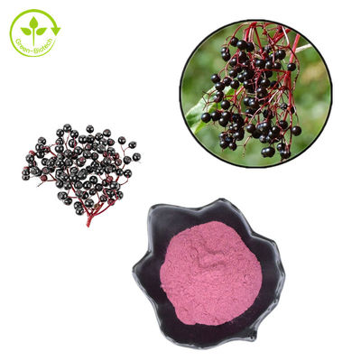 polvo 25kg/Drum de la composición del extracto de la baya del saúco del 1% - del 25% para el producto sano del cuidado