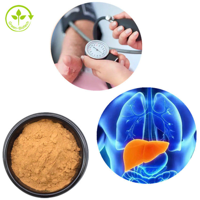 Polvo el 30% de la seta de Mane Mycelium Extract Hericium Erinaceus de los leones