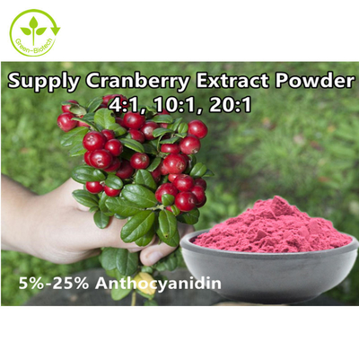 Vaccinium orgánico Macrocarpon del extracto de la fruta del arándano de la antocianidina el 25% del polvo del extracto del arándano del 4:1