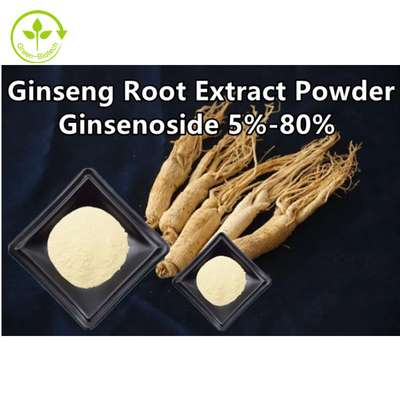 El extracto herbario de la raíz del ginseng pulveriza Ginsenoside el 5% - el 80%