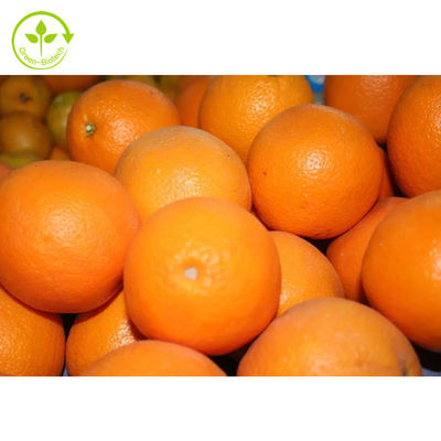 La fruta cítrica Aurantium de la categoría alimenticia extrae el polvo de la hesperidina de Diosmin el 98%