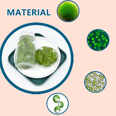 Mar crudo Moss Gummies Dietary Supplement del extracto de la planta