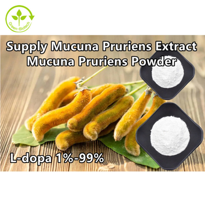 El Mucuna Pruriens de la planta extrae el polvo de la L-dopa del 98% el 99%