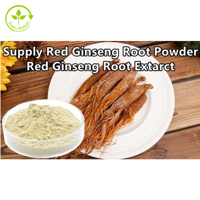 Polvo rojo del extracto de la raíz del ginseng del polvo rojo coreano natural del ginseng de la categoría alimenticia