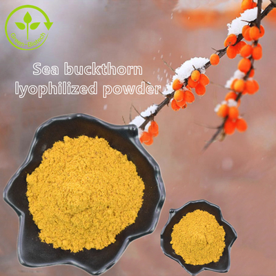 Aceite de los rhamnoides de Hippophae del aceite del espino cerval de mar de Fructus Hippophae del extracto de la planta