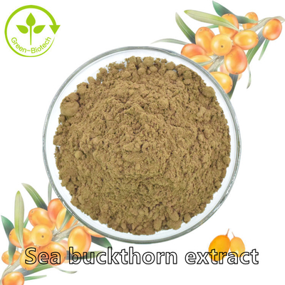 Aceite de los rhamnoides de Hippophae del aceite del espino cerval de mar de Fructus Hippophae del extracto de la planta