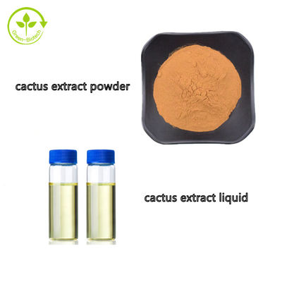 Líquido cosmético del extracto de la fruta del cactus de Hoodia del grado en bultos