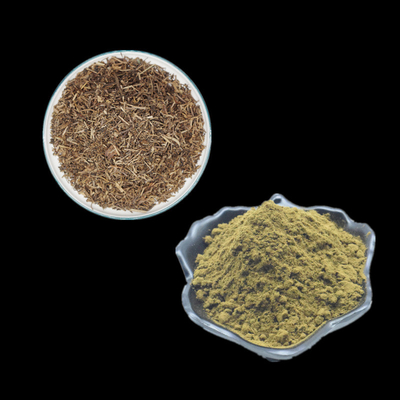 El Ajuga que Turkestanica extrae el polvo herbario de Turkesterone del polvo del extracto complementa el 2% el 10% el 20%